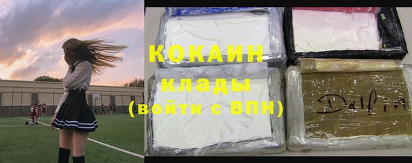шишки Козловка