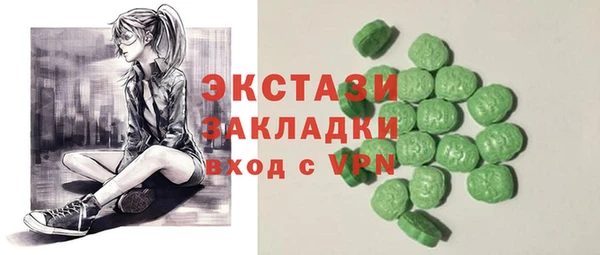 гидра Кодинск