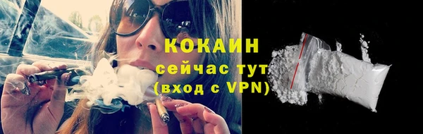 шишки Козловка