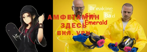 гидра Кодинск