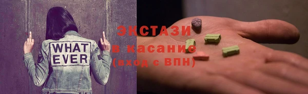 гидра Кодинск