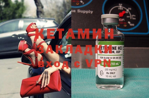 гидра Кодинск