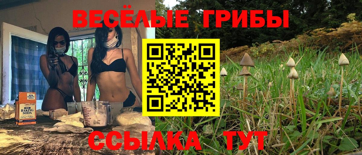 Галлюциногенные грибы Кандалакша