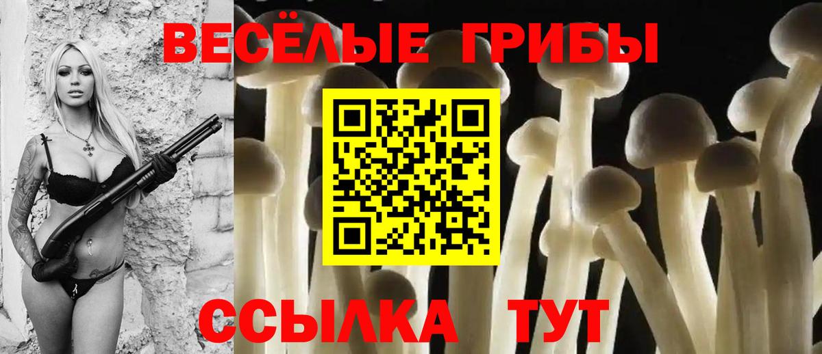 Кандалакша  Псилоцибиновые грибы GOLDEN TEACHER  Вход с VPN 