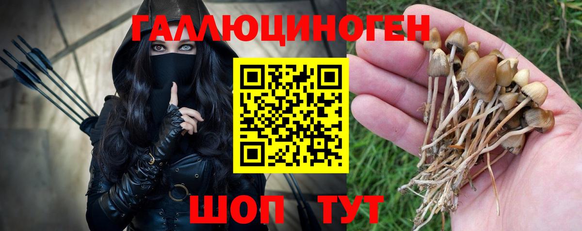 Галлюциногенные грибы MAGIC MUSHROOMS  Кандалакша 