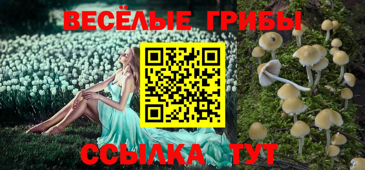 Бошки Шишки  Экстази  А ПВП  Мяу-Мяу  Марихуана  Наркошоп  Марки ЛСД  Кандалакша  КОКАИН  Мяу-Мяу  Вход с VPN  Ляпка 